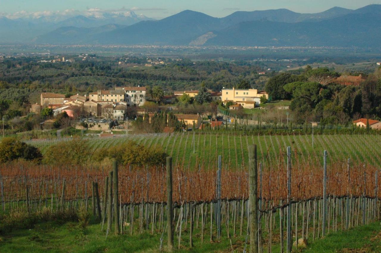 Ciglieri Santermo Casciana Terme Lari Pet&Bike Friendly Free Park Apartment Bagian luar foto