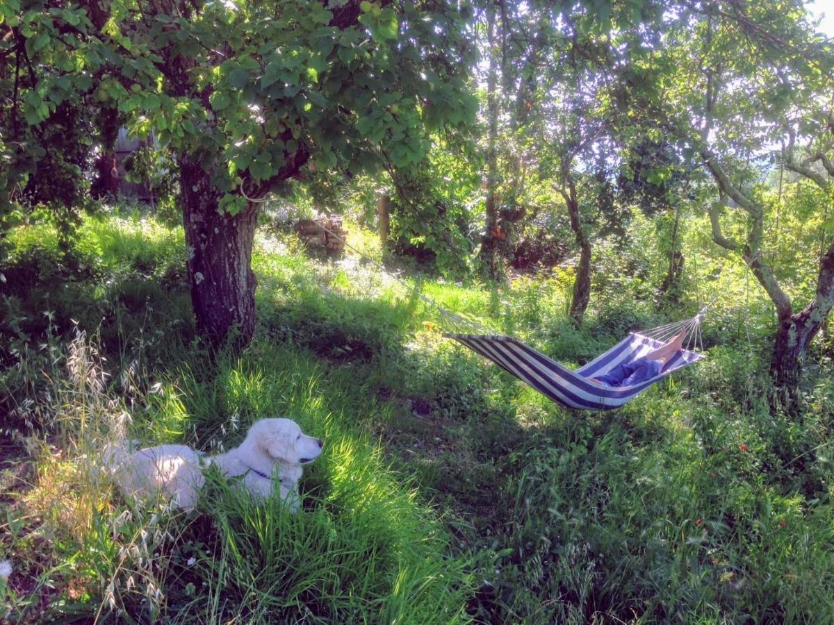 Ciglieri Santermo Casciana Terme Lari Pet&Bike Friendly Free Park Apartment Bagian luar foto
